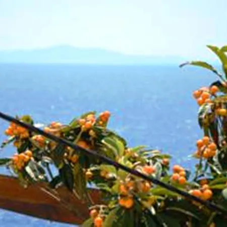 Punta Milna Χβαρ