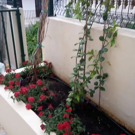Apartment Punta Milna *