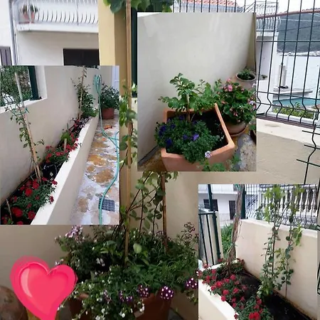 Apartment Punta Milna Hvar Town