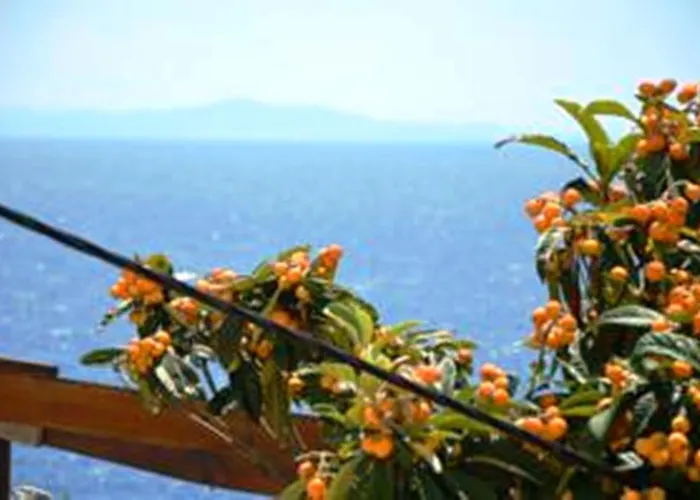 Punta Milna 흐바르