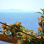Punta Milna Hvar Town