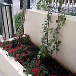 Apartment Punta Milna *