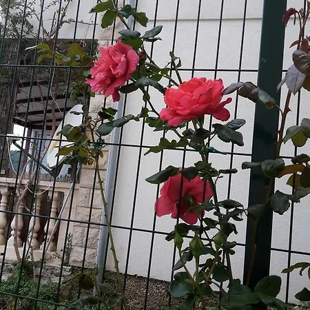 Apartamento Punta Milna Hvar Town