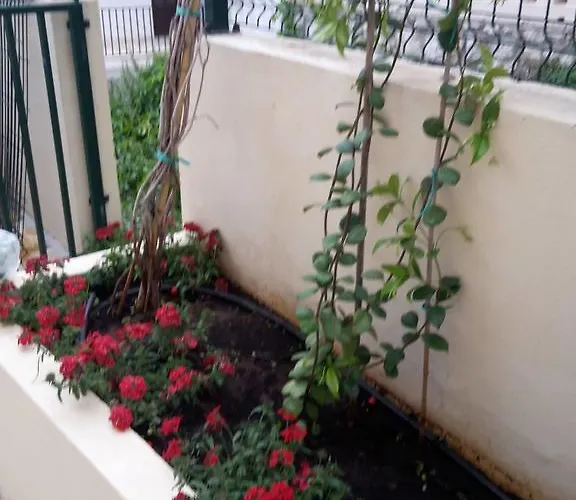 Appartement Punta Milna *